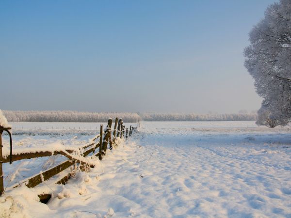 zdjecie Tyniewicze Duże