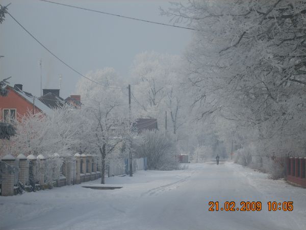 Droga przez Dziektarzewo
