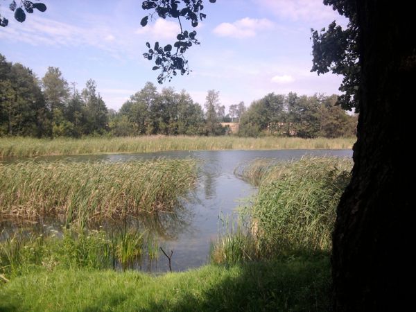 zdjecie Widryny