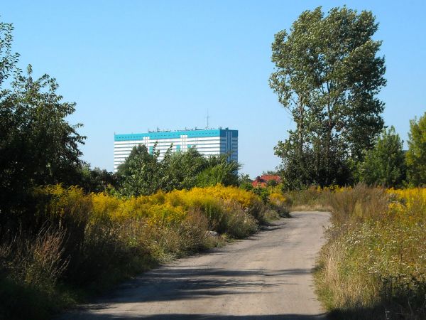 Peryferie Łodzi. W głębi C.K-D. Akademii Medycznej.