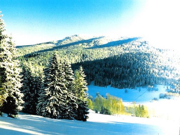 Widok na Suszyce 1047m.n.p.m.