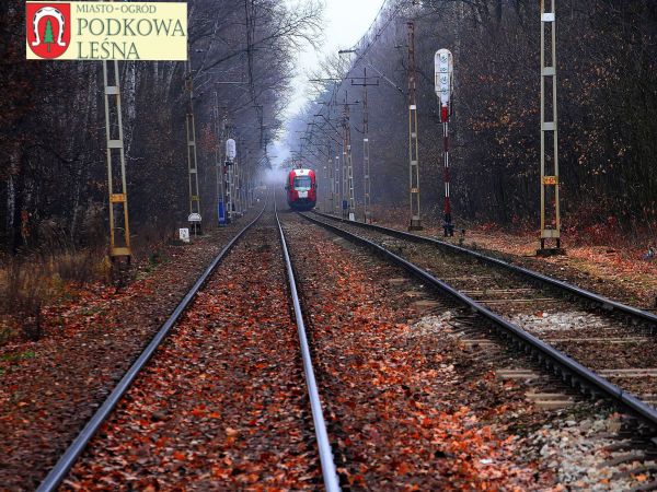 zdjecie Podkowa Leśna
