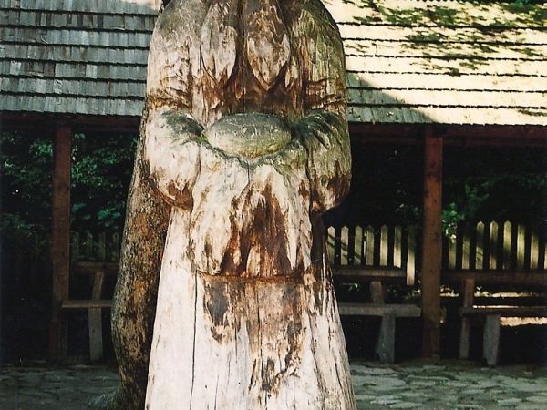 Fot. Szczepan Żyłka