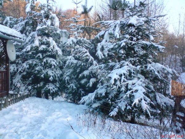 zdjecie Hucisko Jawornickie