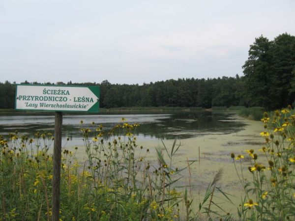 zdjecie Wierzchosławice