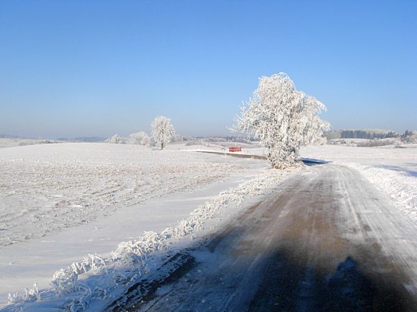 Ignalin. Luty. 2010 r.