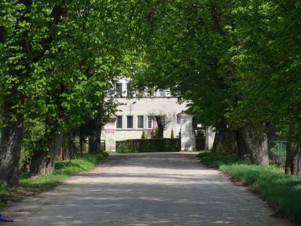 Aleja Makowlańska wiosną!