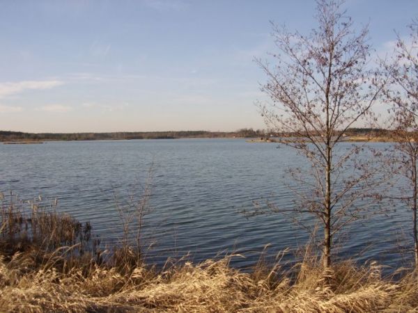 zdjecie Wierzchosławice