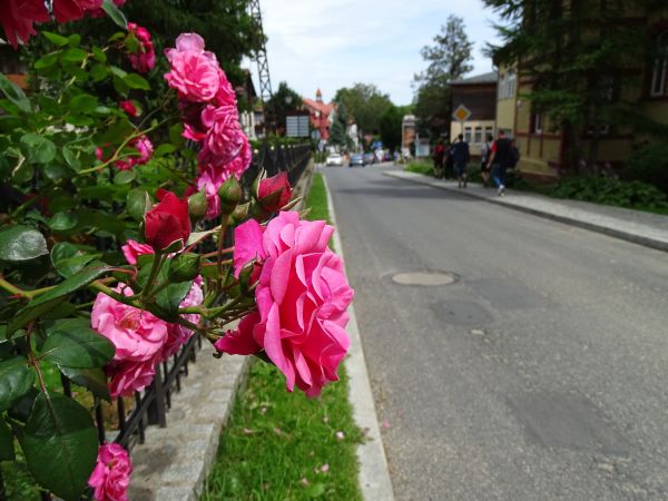 zdjecie Świeradów-Zdrój