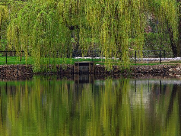 Żmigród - zespół pałacowo - parkowy