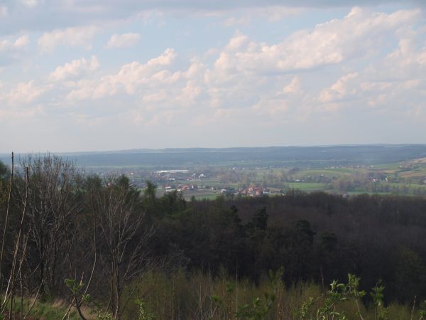 Koniusza - widok na Niegardów