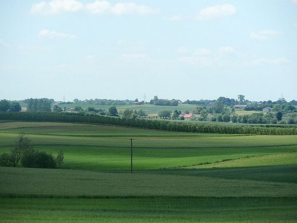 Rywałd, widok w kierunku zachodnim