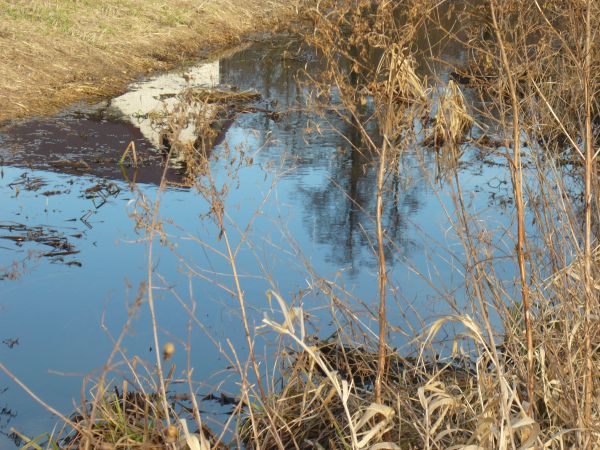 zdjecie Wola Wężykowa