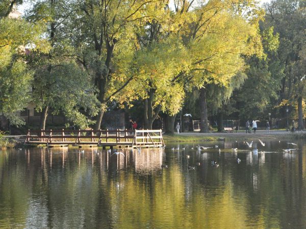 Wolsztyn. Jesień nad jeziorem Wolsztyńskim.
