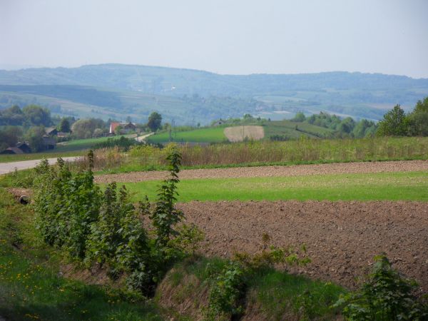 zdjecie Kąty Luteckie