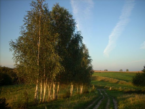 zdjecie Konopki Wielkie