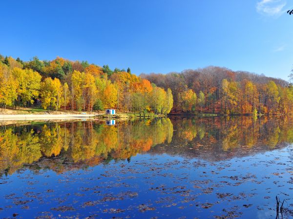 Wodzisławski Balaton