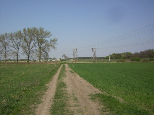 zdjecie Sulechów