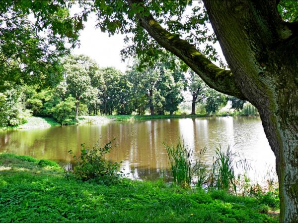 Pałac Turnauów w Urzejowicach z 1887 roku i park krajobrazowy .