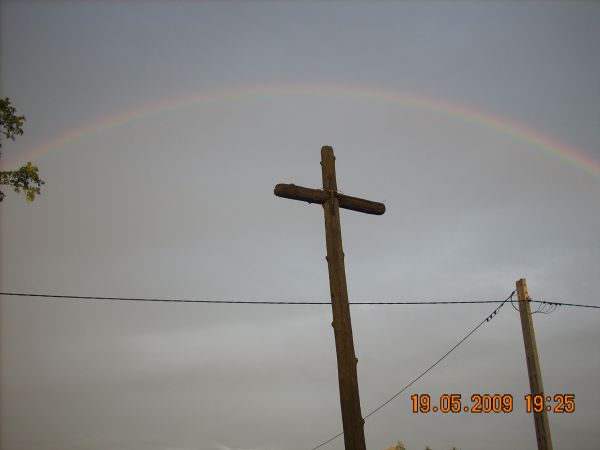 zdjecie Dziektarzewo