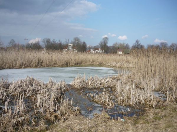 CZy ktoś ze Sterdyniaków pamięta sadzawkę u  [księdza]