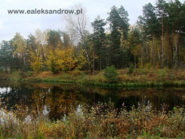 zdjecie Aleksandrów