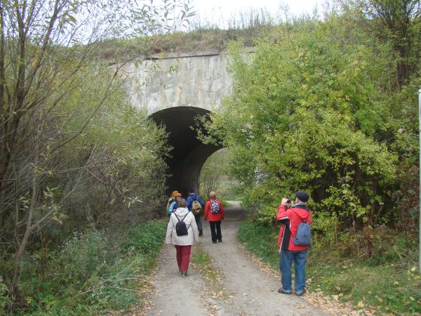 Budowę kolei - łączącej Przemyśl z Budapesztem i Wiedniem - rozpoczęto w 1870 roku, najciężej było w tunelu pod Przełęczą Łupkowską, pracowali włoscy fachowcy o