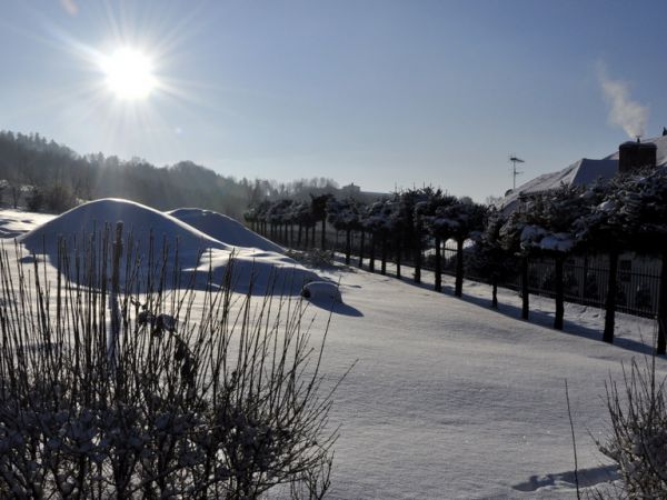 Wielogłowy w zimowej szacie