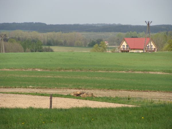 Najbliższa okolica:)