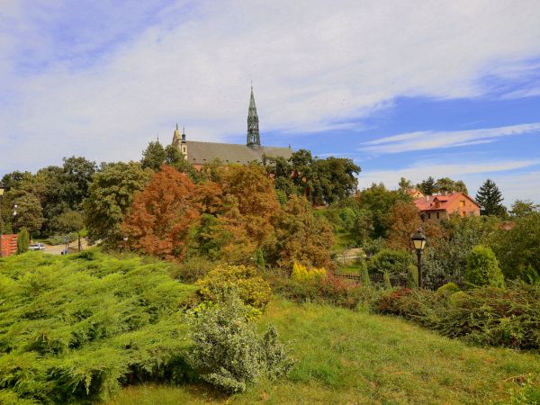 zdjecie Sandomierz