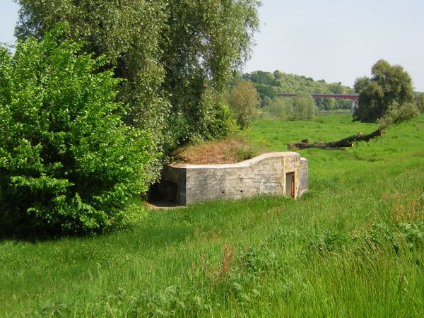 zdjecie Sulechów