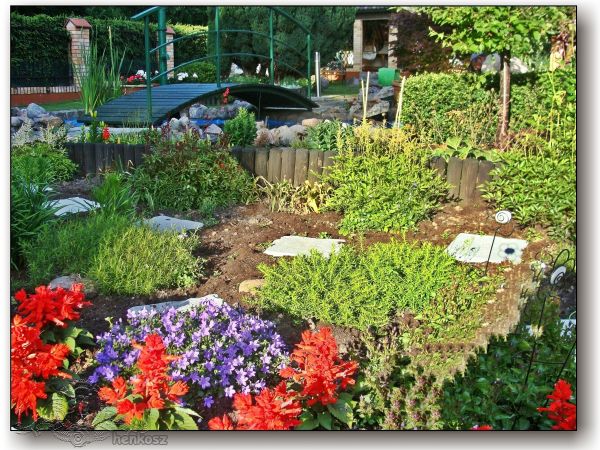 Bukowe Osiedle .Lato w ogrodzie.ul. Daleka