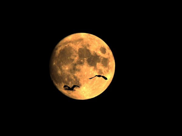 Łysy nad moim miastem