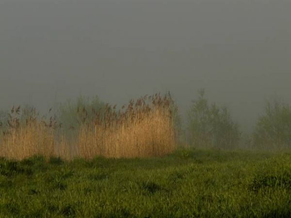 zdjecie Jelenia Góra