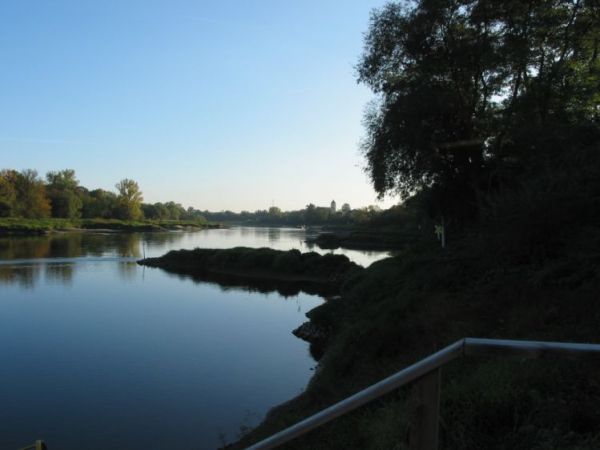 Widok na Odre od strony skarpy z ul. Gornej