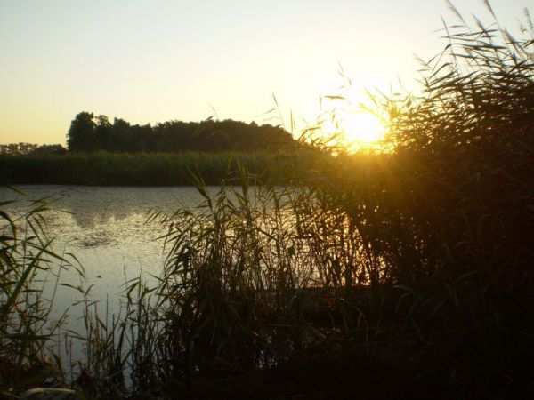 Wschód słońca nad stawem.