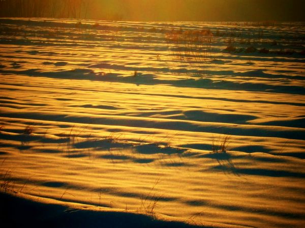 zdjecie Potok Górny