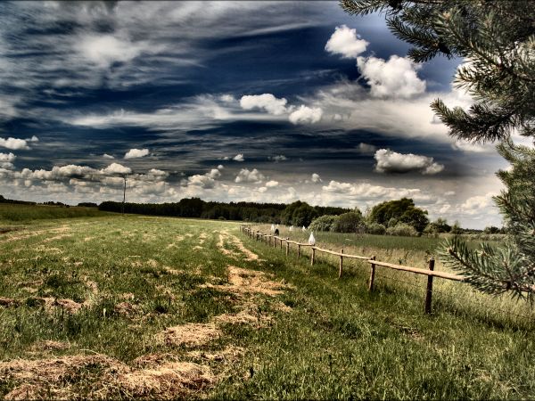 zdjecie Tyniewicze Duże