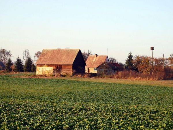 Waplewo Osiedle- zabudowania gospodarczo-mieszkalne.
