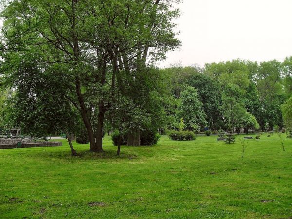 W Starogardzkim Parku nad Wierzycą