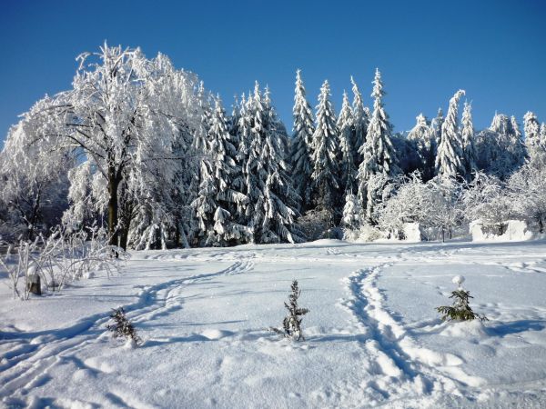 Zimowe krajobrazy z okolic  Arłamowa na Pogórzu Przemyskim.