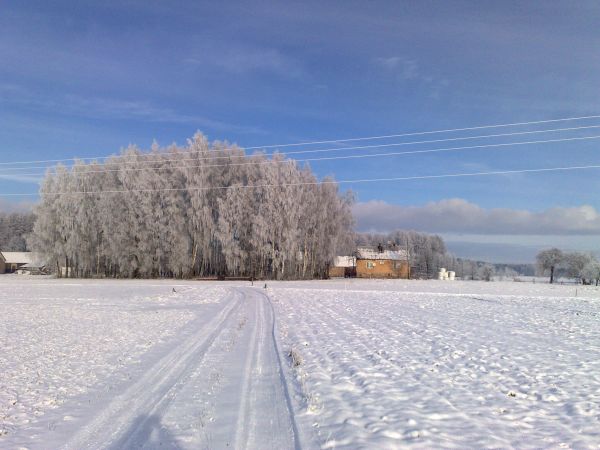 zdjecie Borawskie-Awissa