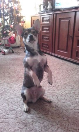 zdjecie Pieczyska Łowickie