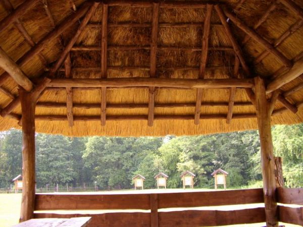 zdjecie Wierzchosławice