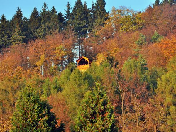 zdjecie Kudowa-Zdrój