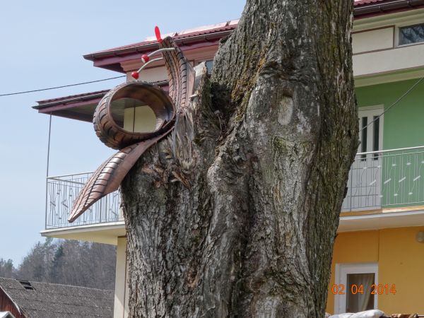 toż to ślimak pod ochroną, z urody jakby zaskrońca krewniak a może padalca /miedzianki/?