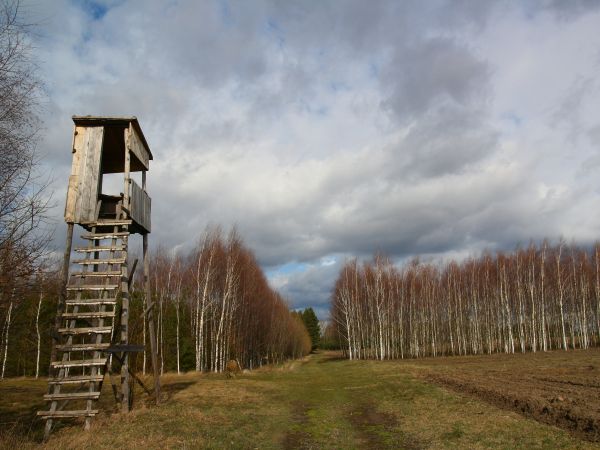 zdjecie Tyniewicze Duże