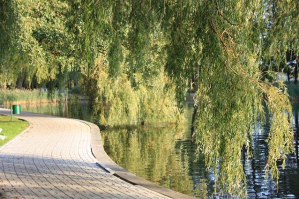 Bulwar na jeziorem Trzesiecko w Szczecinku