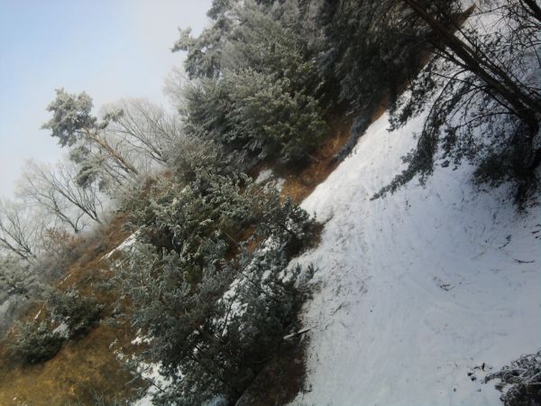 zdjecie Piotrowice Małe