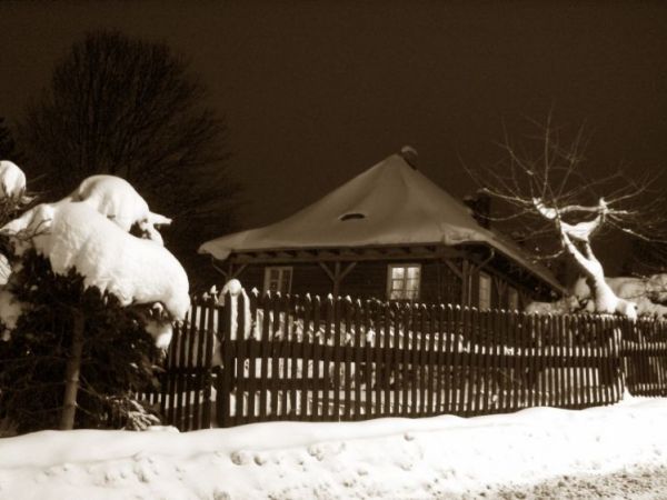 Więcej moich zdjęć na http://picasaweb.google.com/janek.fedorowicz